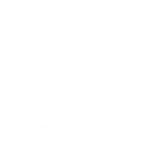 Best service